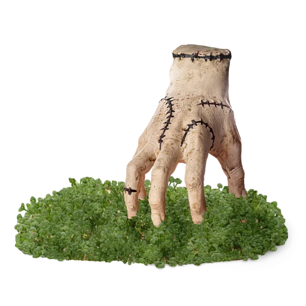 Addams Family Thing Chia Pet®