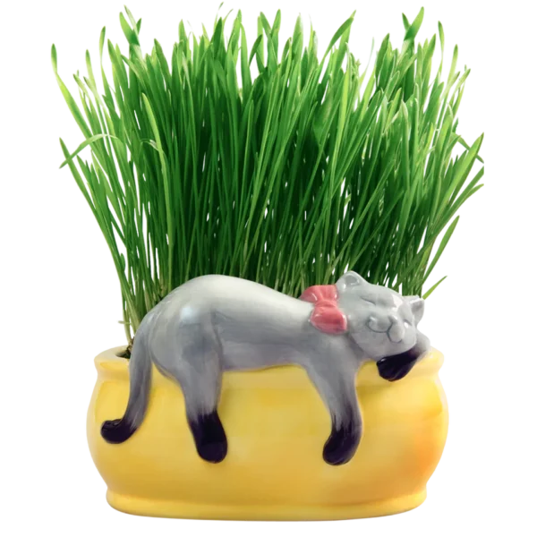Snoozing Kitty Chia® Cat Grass Planter