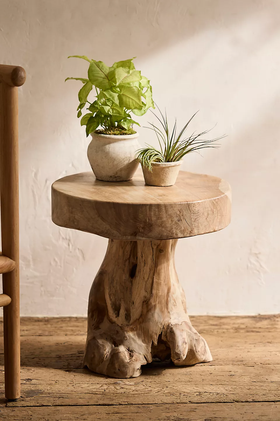 Teak Root Side Table - Image 2
