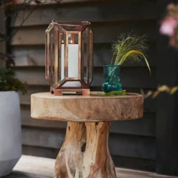 Teak Root Side Table