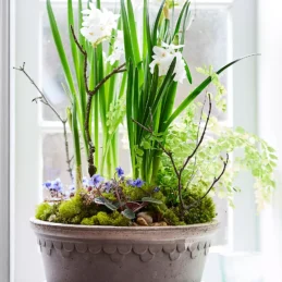 Bergs Copenhagen Terracotta Bowl + Saucer Set