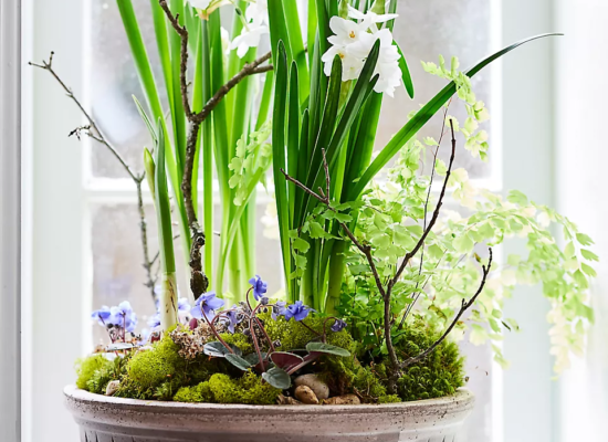 Bergs Copenhagen Terracotta Bowl + Saucer Set