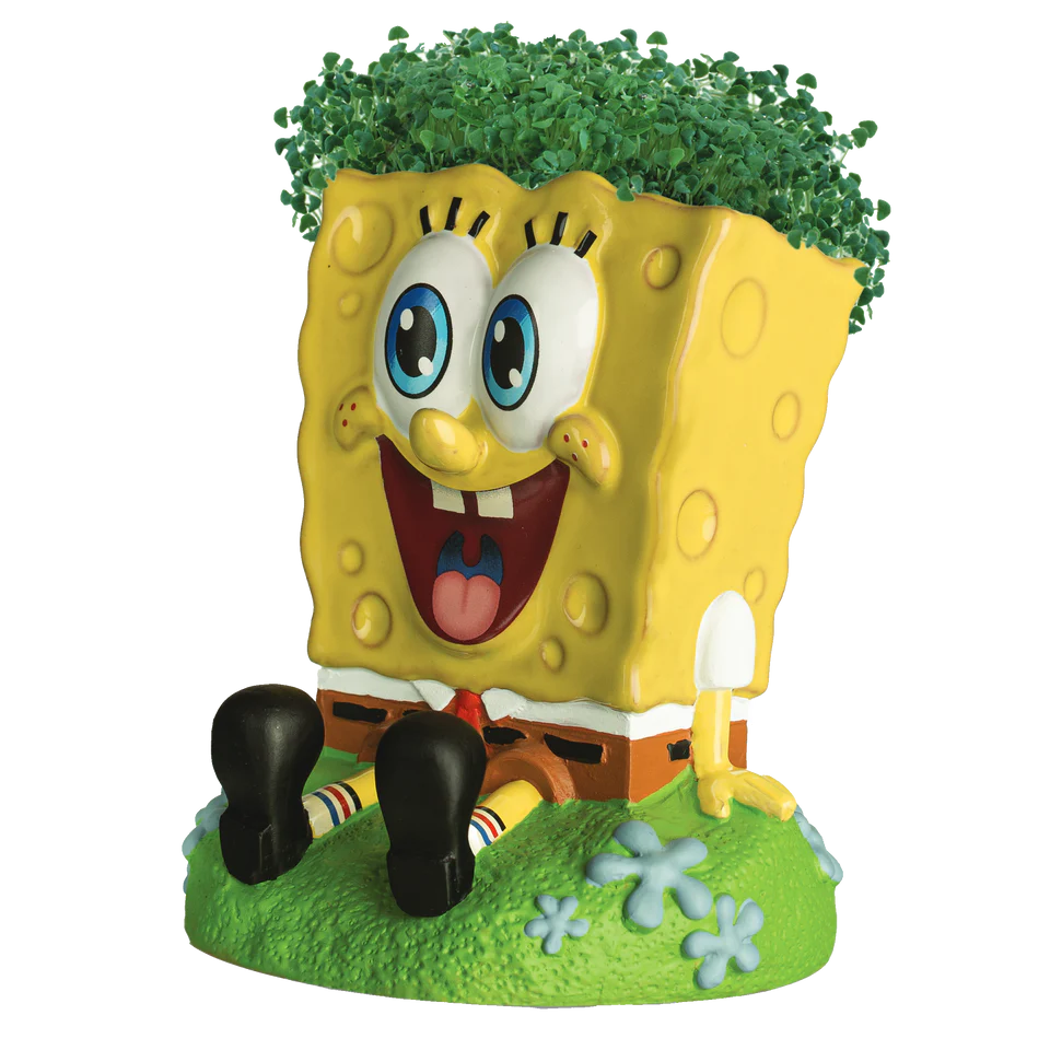 SpongeBob SquarePants Chia Pet®