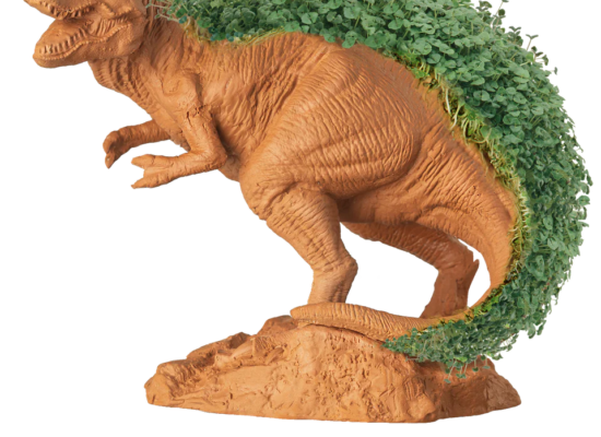 T-REX Chia Pet®