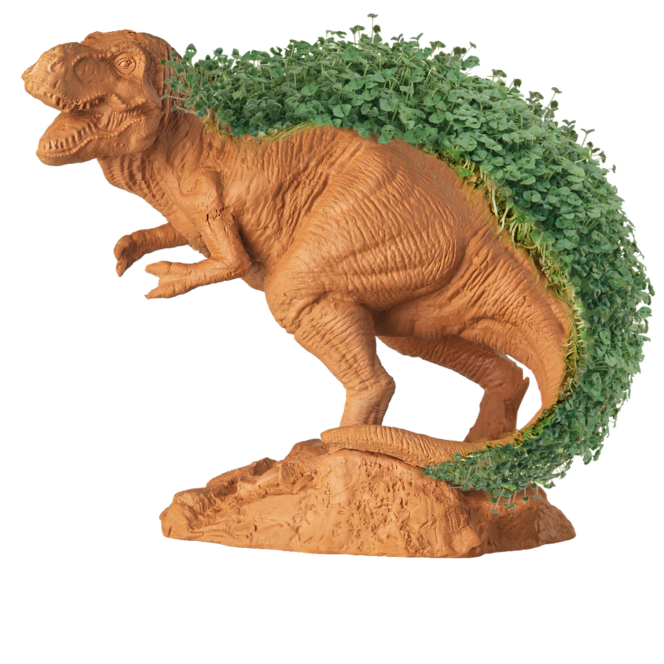 T-REX Chia Pet®
