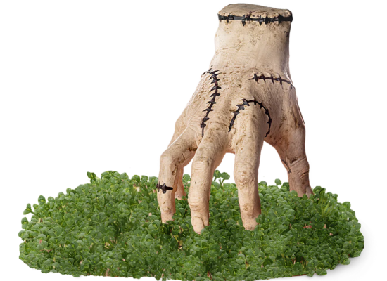 Addams Family Thing Chia Pet®