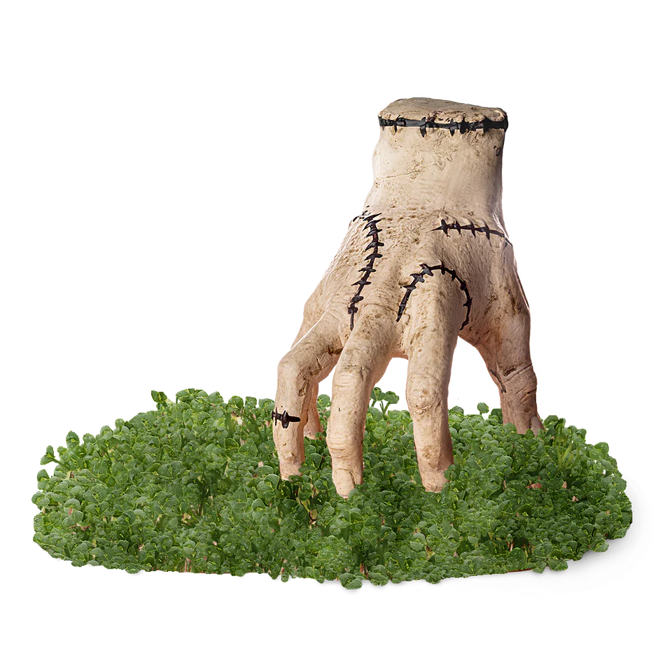 Addams Family Thing Chia Pet®