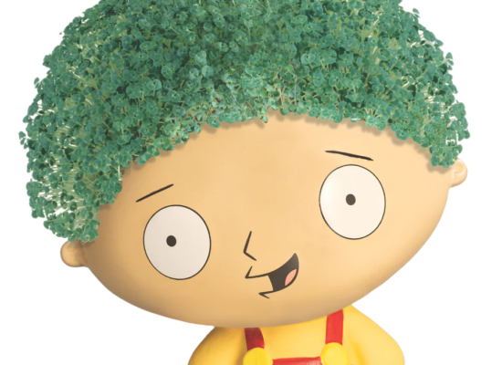 Family Guy Stewie Chia Pet®