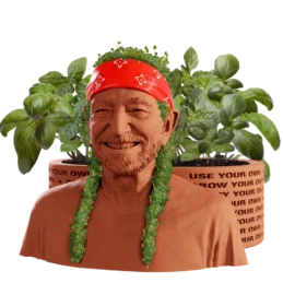 Willie Nelson Chia Pet® Herb Planter