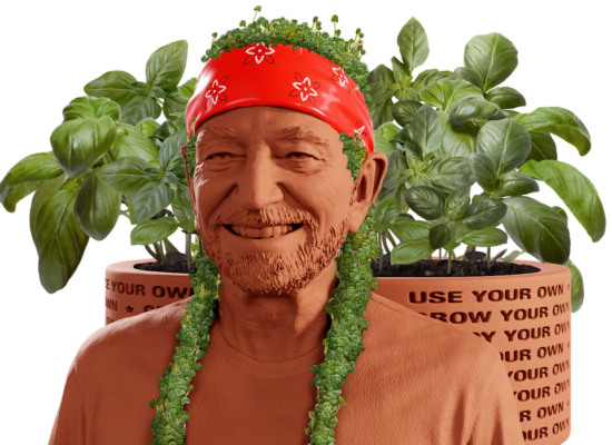 Willie Nelson Chia Pet® Herb Planter