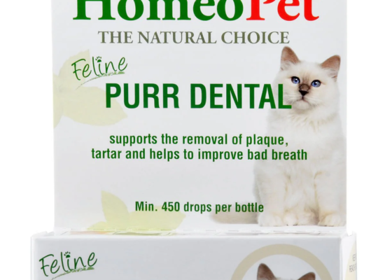 HomeoPet Feline PURR DENTAL, 15 mL