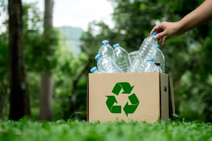 Waste Management & Recycling