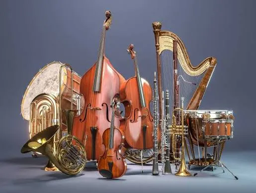 Music & Musical Instruments